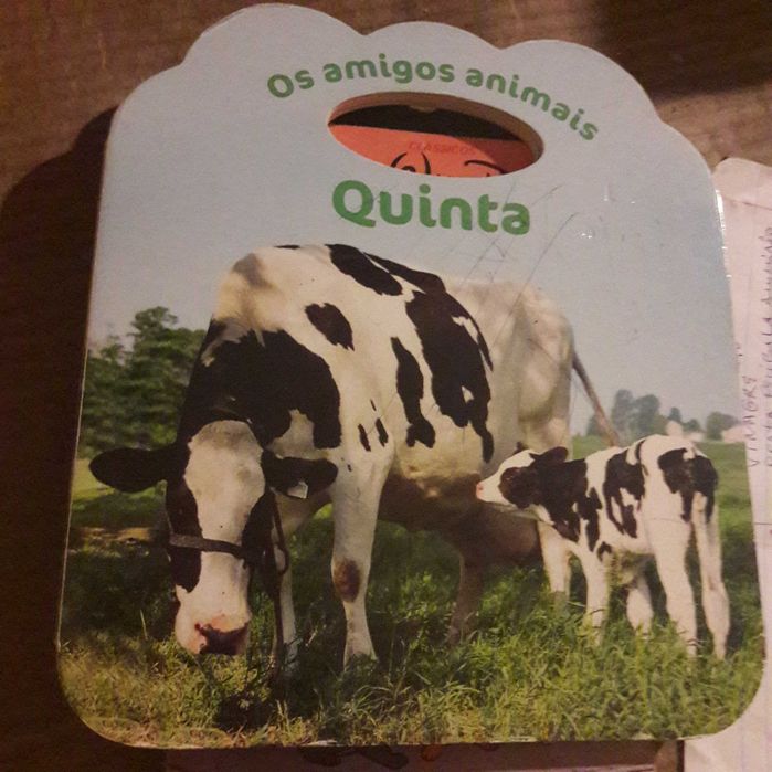 Os amigos animais da quinta raro formato livro infantil