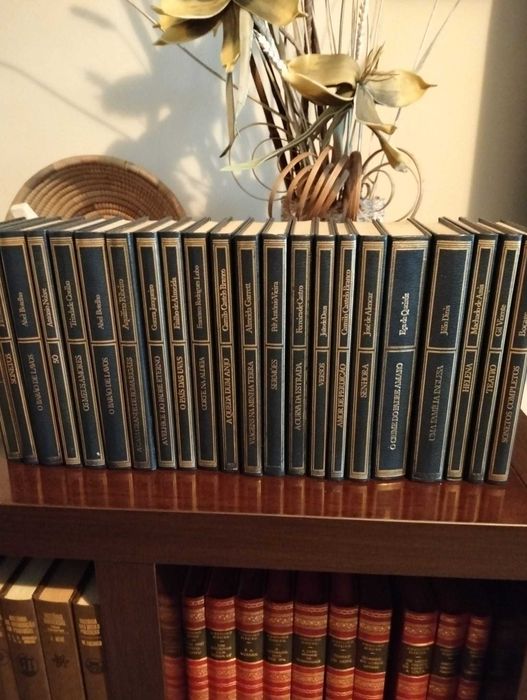 Livros dos melhores autores portugueses