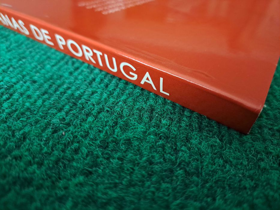 Pontes Romanas de Portugal - Direcção de Paulo Mendes Pinto