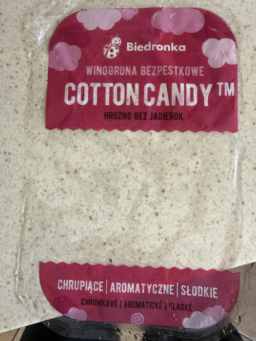 Foliowa czapka na deszcz