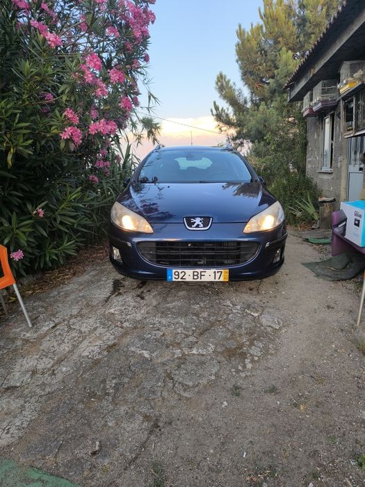 Peugeot 407 sw executivo