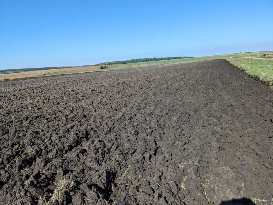 Плуг 2 корпусний 2*40