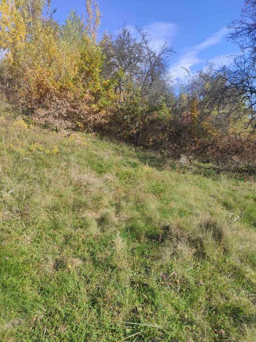 Продаж земельної ділянки в селі Вербовець.