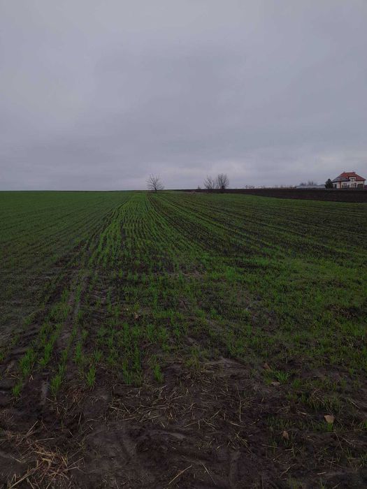 Продаж земельної ділянки в с. Германівка, Обухівський район