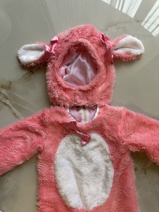 Костюми карнавальні на прокат, багато різних варіантів