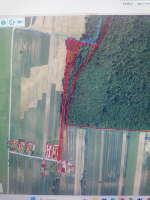 Działki rolno-budowlane 1,5978 ha – Dąbrowa, gmina Pawłów – UZBROJONE