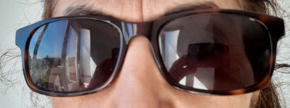 Óculos de sol castanhos