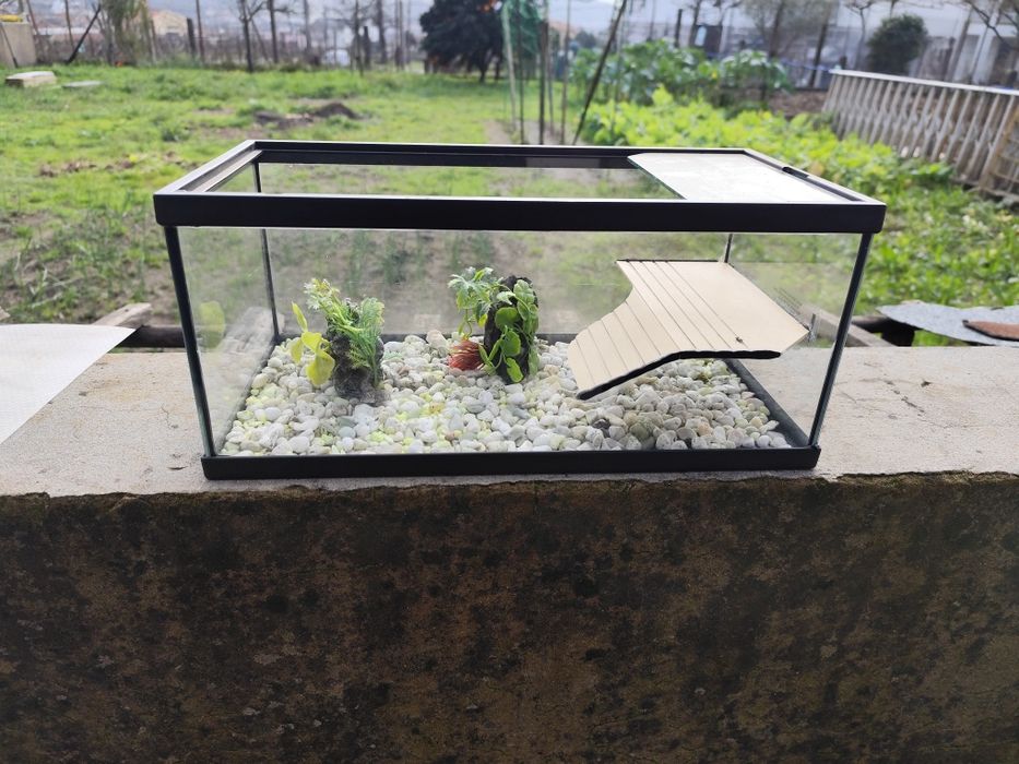 Aquário para tartarugas