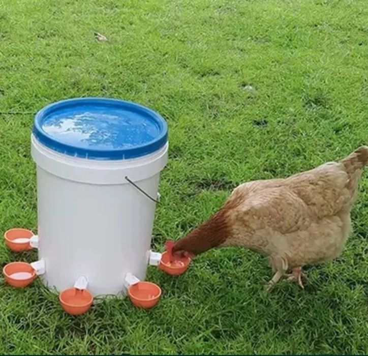 Poidła dla drobiu cały zestaw