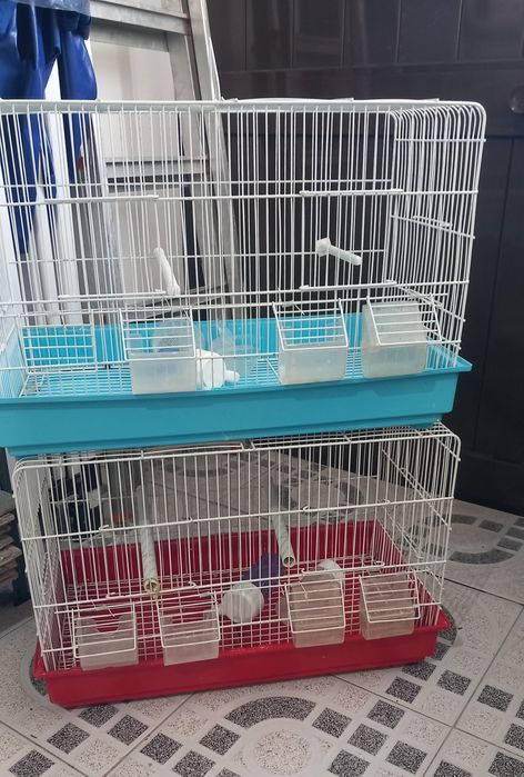 2 Gaiolas usadas e maternidade