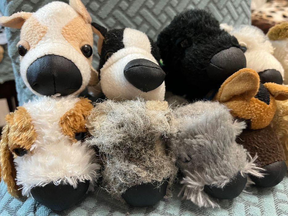 Котики собачки The dog collection, The cat collection, м'які іграшки