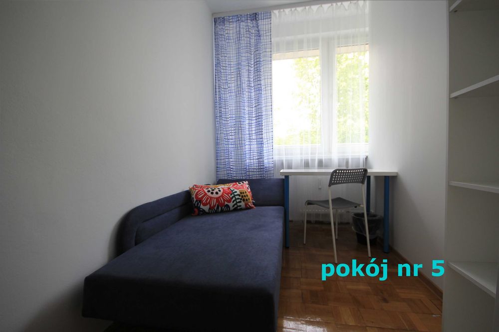 Zdjęcie 8