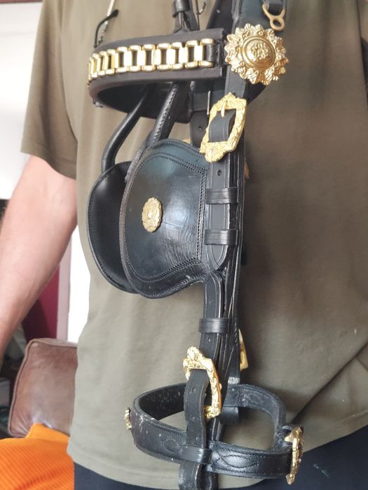 Par de cabeçadas de atrelagem ornamentadas em couro preto – tamanho COB"