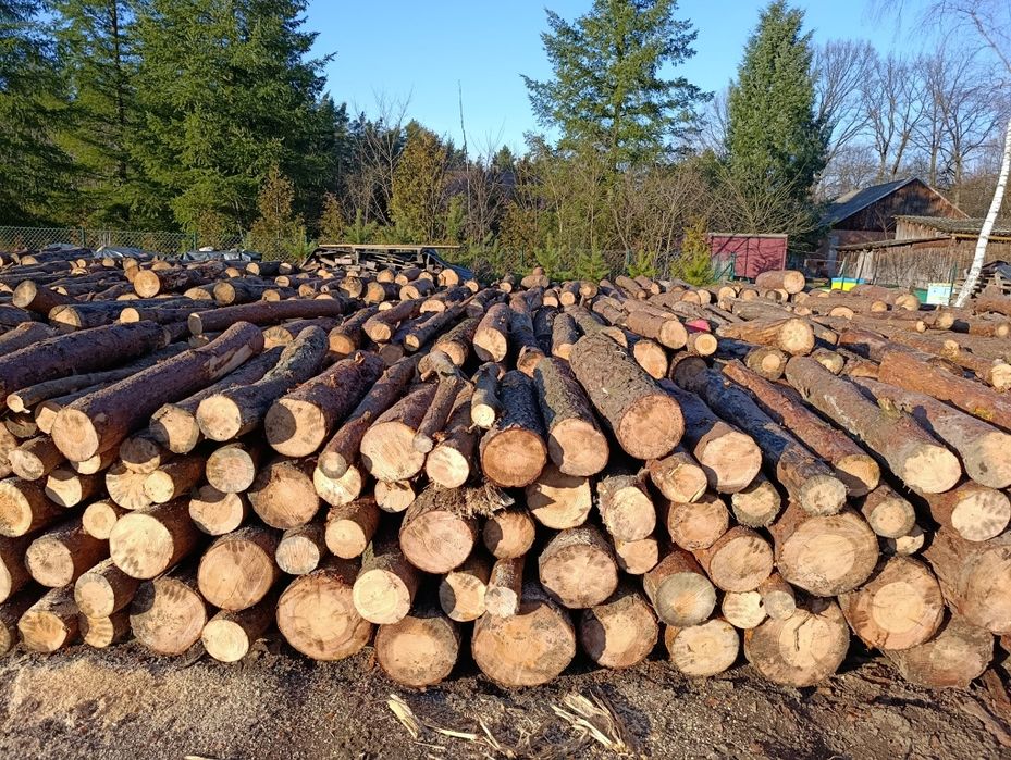 Drewno opałowe sosna