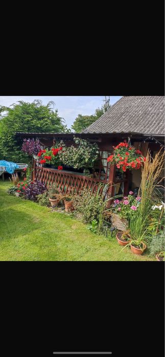 Na sprzedaż Działka ROD RELAX Szałe