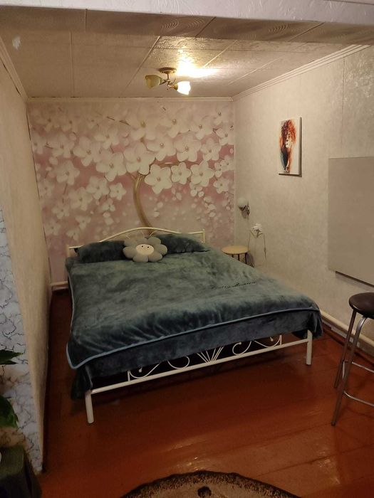 Будинок в селі Солтанівка Любашівського району Одеської області