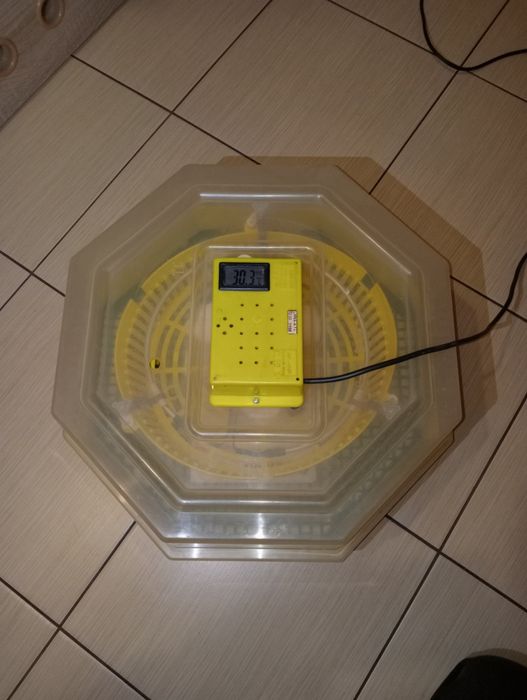 Inkubator do jaj iBator HOME 60 / Cleo 5