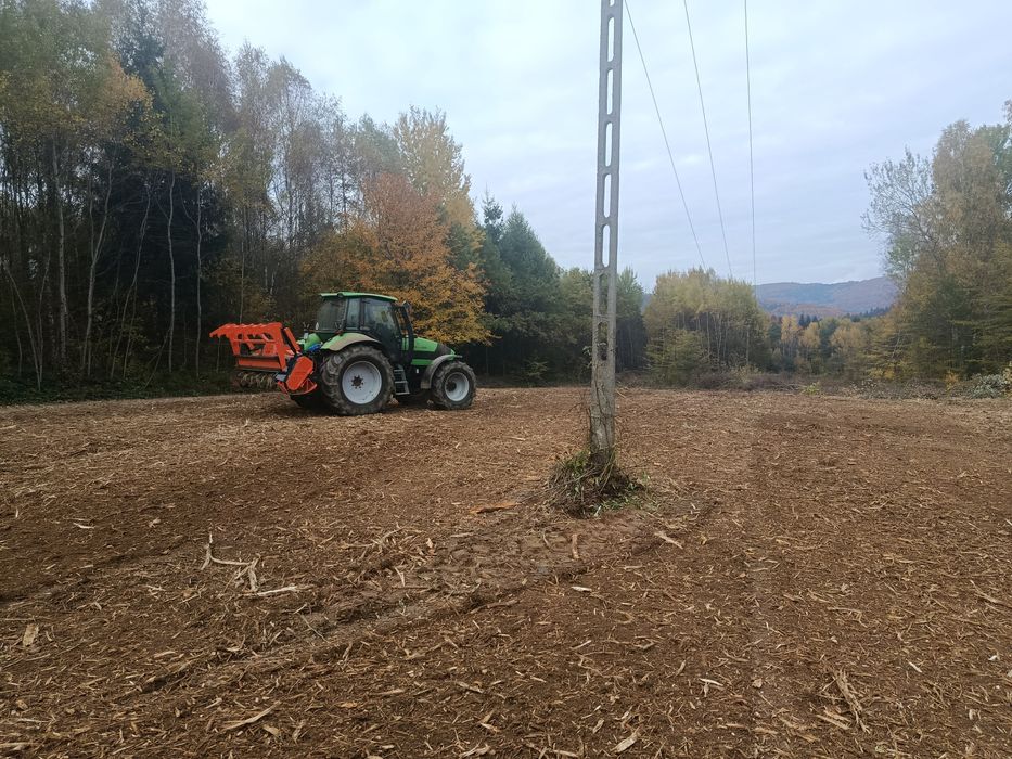Mulczerowanie / mulczer leśny / wycinka drzew / czyszczenie działek