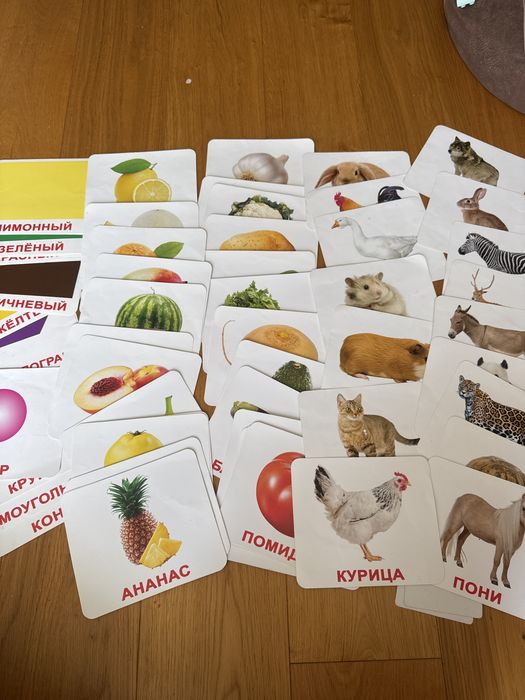 Карточки Домана на русском языке