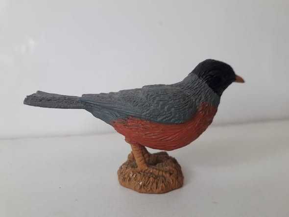 Drozd figurka Safari Ltd.