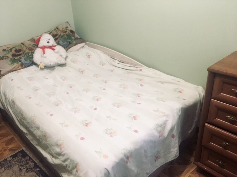 Посуточная аренда дома 250 кв. Метро Левобережная. НОВЫЙ ГОД-СВОБОДНО