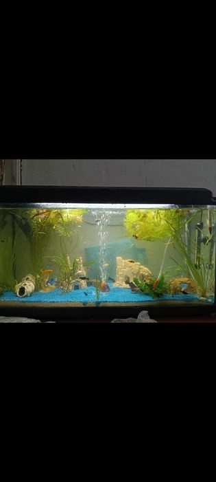 Akwarium 120  litrów Aquael