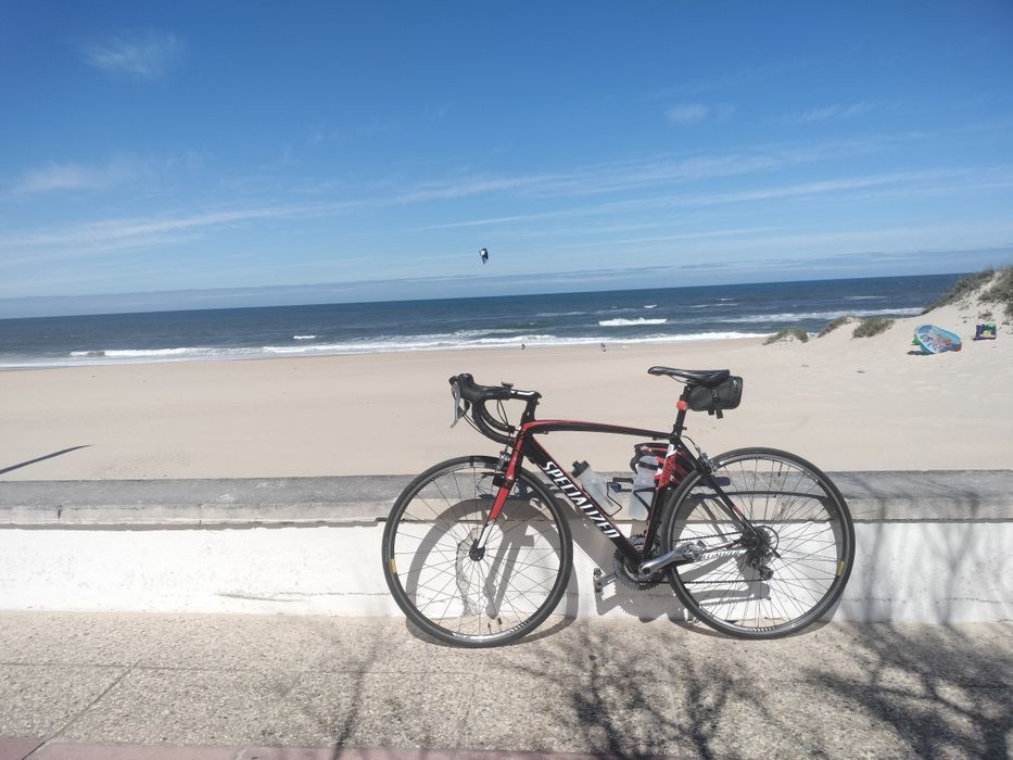 Specialized Allez Elite (Tam. 54) – Shimano Tiagra 10v – Excelente Estado