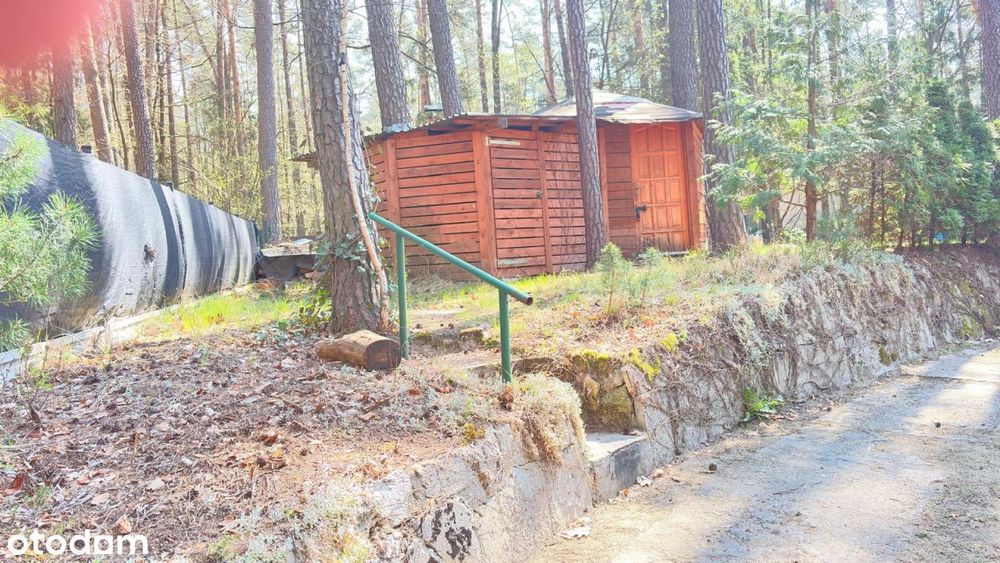 całoroczny dom letniskowy usytuowany w lesie w pob