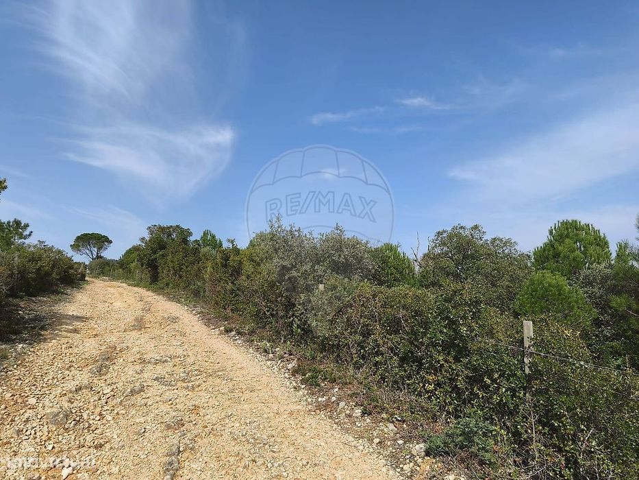 Terreno  para venda