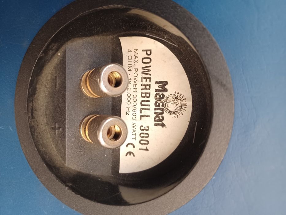 Subwofer + Amplificador