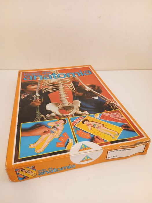 Jogo de Anatomia, antigo 1981,  Majora