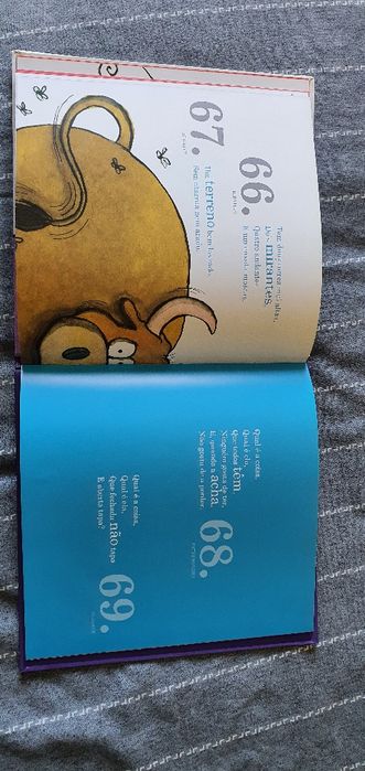 O livrinho das Adivinhas - José Viale Moutinho e Fedra Santos