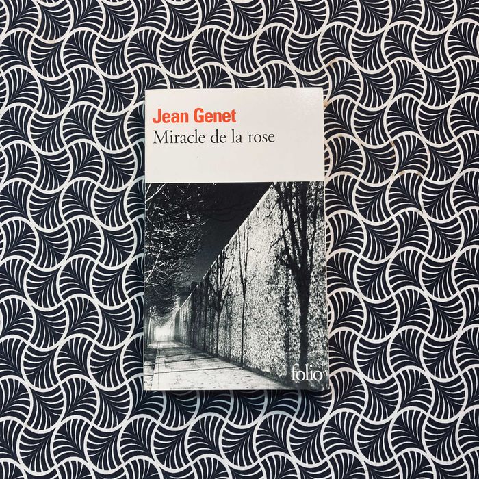 Miracle de la Rose - Jean Genet