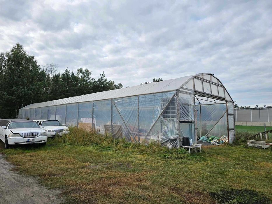 Szklarnia wysoka długa