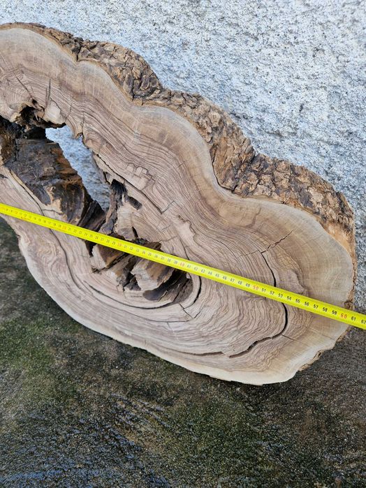 Grande Rodela de Oliveira, madeira maciça, lixada e aplainada