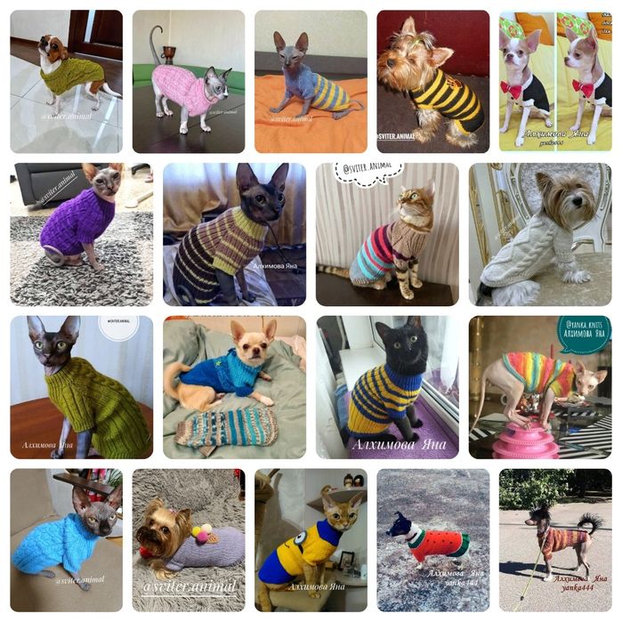 Одежда для собаки и котов под заказ. Свитер для сфинкса, собаки