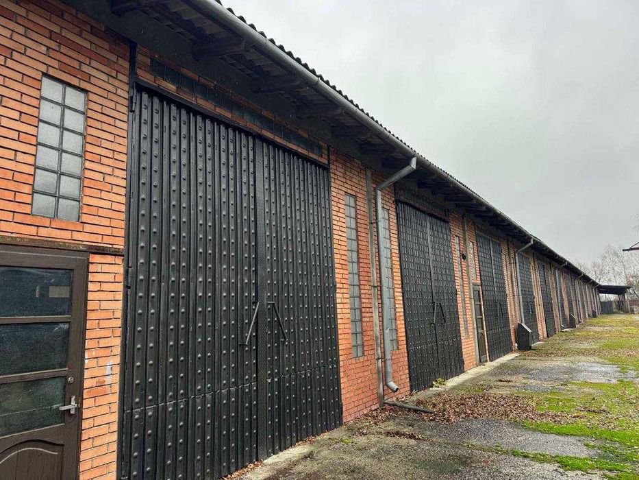 Оренда складських приміщень в м. Радехів.