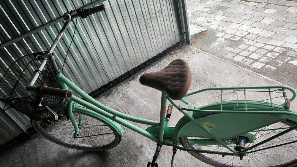 Rower holenderski damski