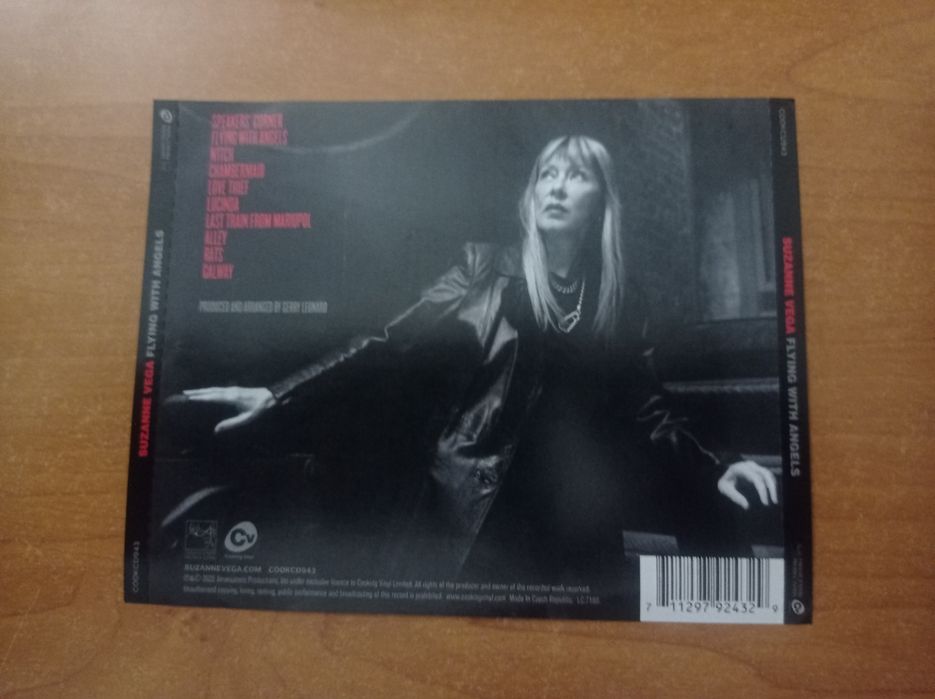 Suzanne Vega - Flying With Angels