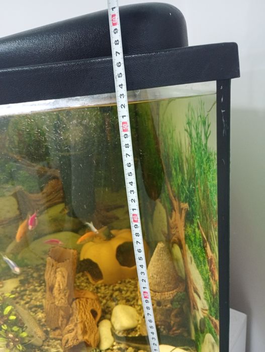 Акваріум кутовий