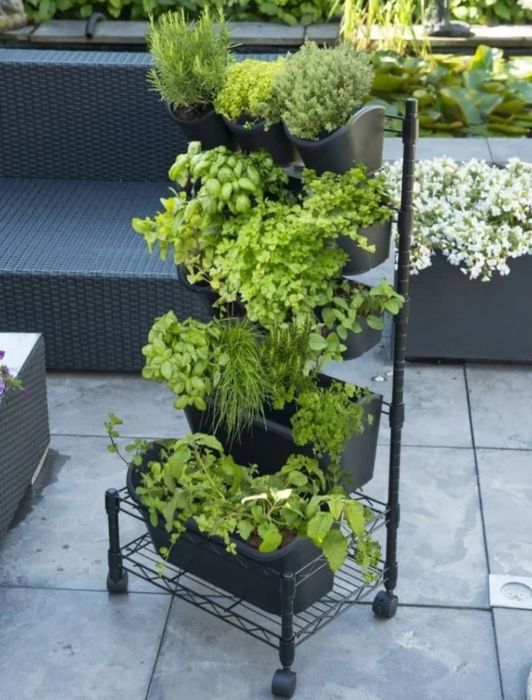 Nature ogród wertykalny, zestaw mobilny, mini ogród,  półka na uprawy