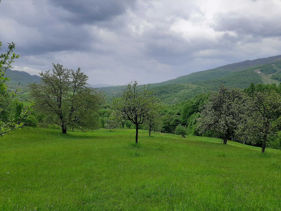 Продам будинок та земельну ділянку