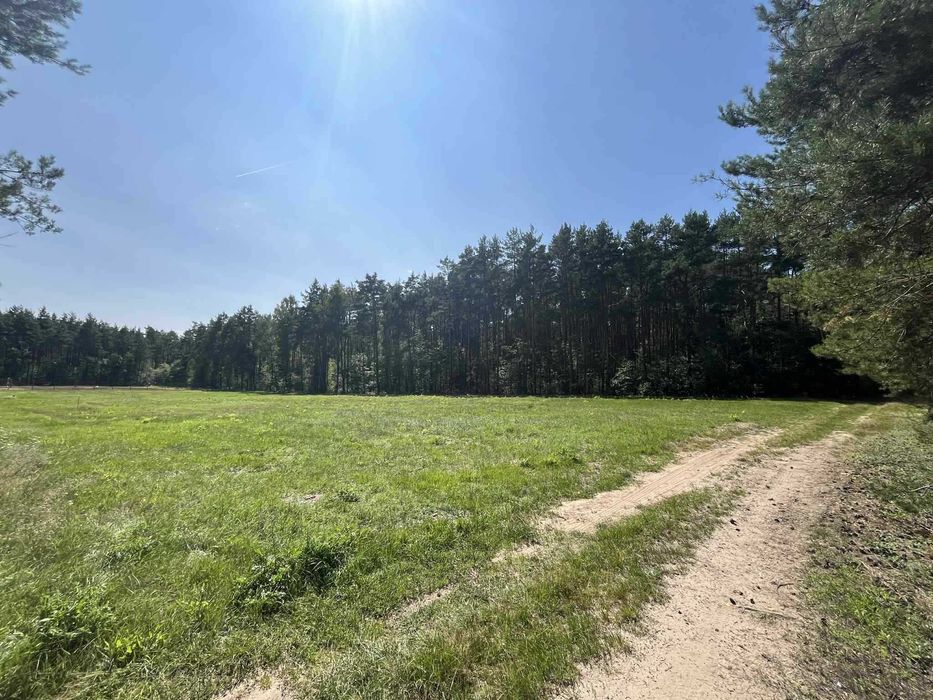 Działki budowlane ZALESNA (Gmina Bełchatów)
