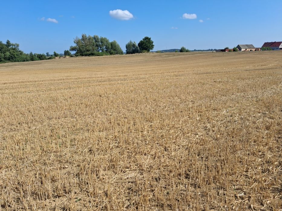 Ziemia rolna Antoniewice