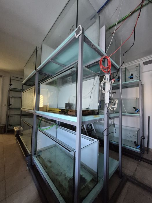 Aquários fishroom
