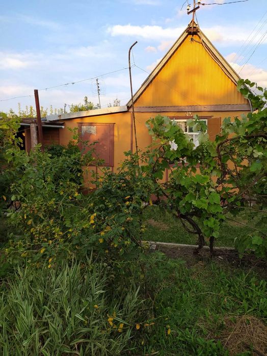 Продам дачу у Пісчанці, близько річка, дешево