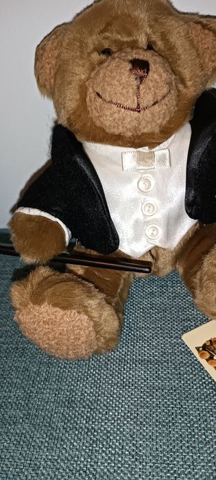 Pequeno urso maestro The Teddy Bear Collection