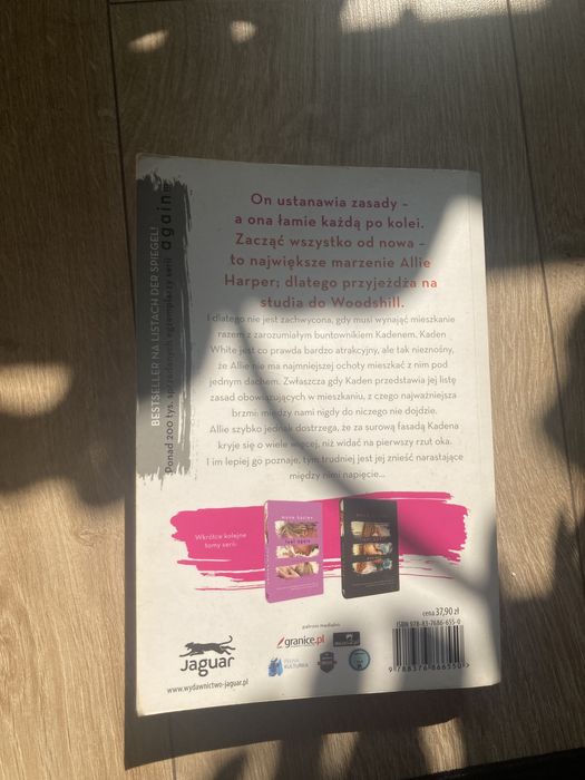 Książka Begin again