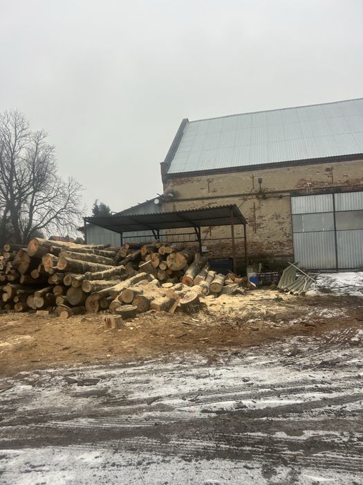 Drewno opałowe kominkowe