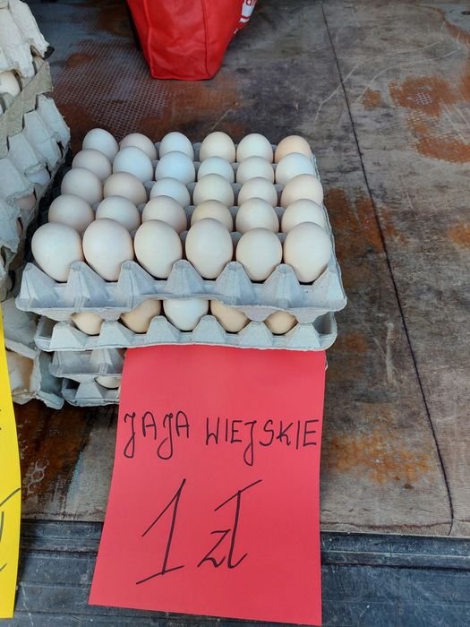 Sprzedam Jajka Wiejskie kremowe